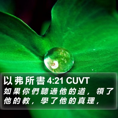 以 弗 所 書 4:21 CUVT Bible Verse Image