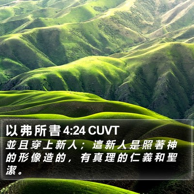 以 弗 所 書 4:24 CUVT Bible Verse Image