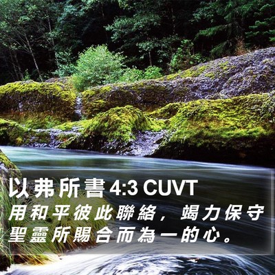 以 弗 所 書 4:3 CUVT Bible Verse Image