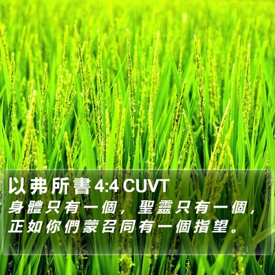 以 弗 所 書 4:4 CUVT Bible Verse Image
