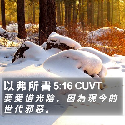 以 弗 所 書 5:16 CUVT Bible Verse Image