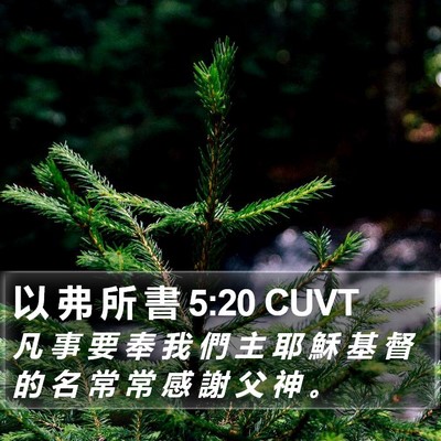 以 弗 所 書 5:20 CUVT Bible Verse Image