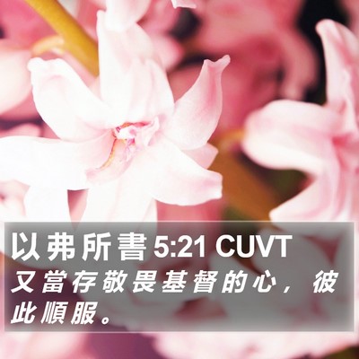 以 弗 所 書 5:21 CUVT Bible Verse Image