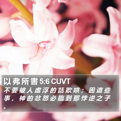 以 弗 所 書 5:6 CUVT Bible Verse Image