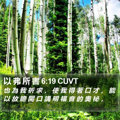 以 弗 所 書 6:19 CUVT Bible Verse Image