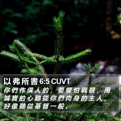 以 弗 所 書 6:5 CUVT Bible Verse Image