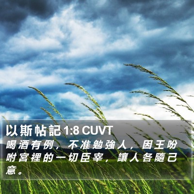 以 斯 帖 記 1:8 CUVT Bible Verse Image