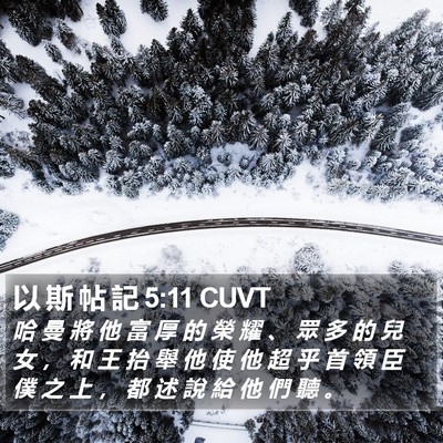 以 斯 帖 記 5:11 CUVT Bible Verse Image