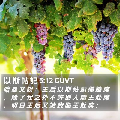 以 斯 帖 記 5:12 CUVT Bible Verse Image