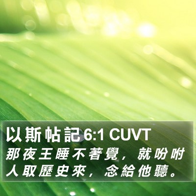 以 斯 帖 記 6:1 CUVT Bible Verse Image