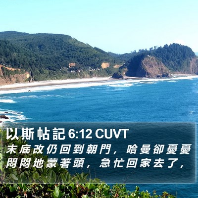 以 斯 帖 記 6:12 CUVT Bible Verse Image