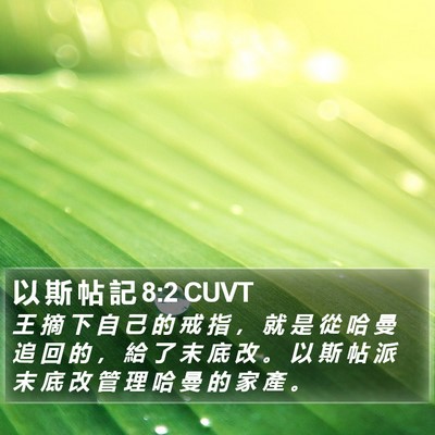 以 斯 帖 記 8:2 CUVT Bible Verse Image
