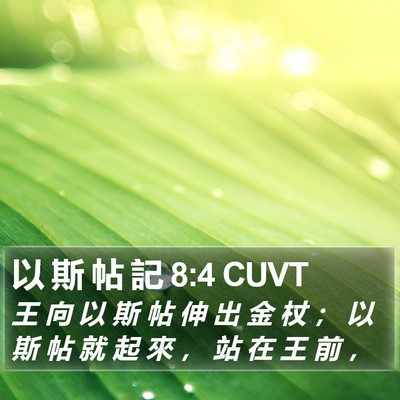 以 斯 帖 記 8:4 CUVT Bible Verse Image