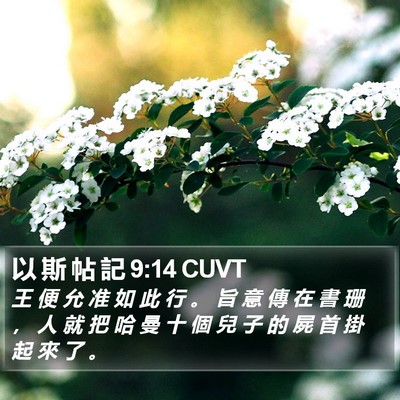 以 斯 帖 記 9:14 CUVT Bible Verse Image