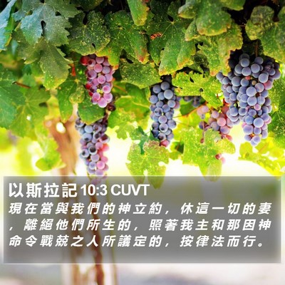 以 斯 拉 記 10:3 CUVT Bible Verse Image