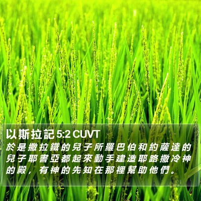 以 斯 拉 記 5:2 CUVT Bible Verse Image