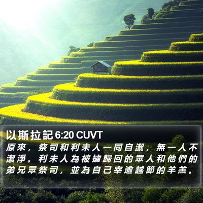 以 斯 拉 記 6:20 CUVT Bible Verse Image