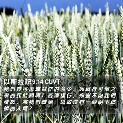 以 斯 拉 記 9:14 CUVT Bible Verse Image