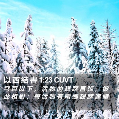 以 西 結 書 1:23 CUVT Bible Verse Image