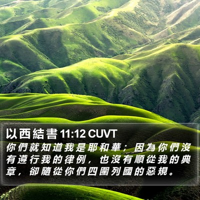 以 西 結 書 11:12 CUVT Bible Verse Image