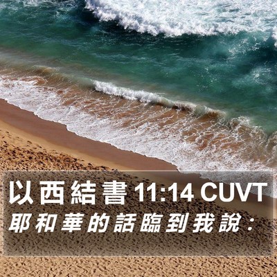 以 西 結 書 11:14 CUVT Bible Verse Image