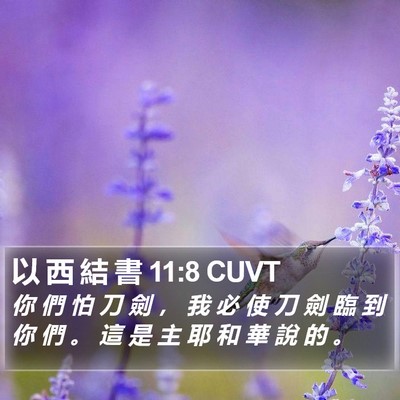 以 西 結 書 11:8 CUVT Bible Verse Image