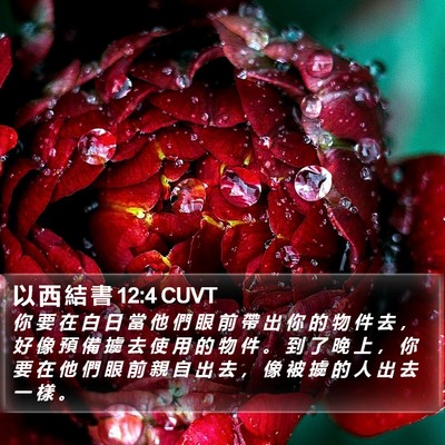 以 西 結 書 12:4 CUVT Bible Verse Image