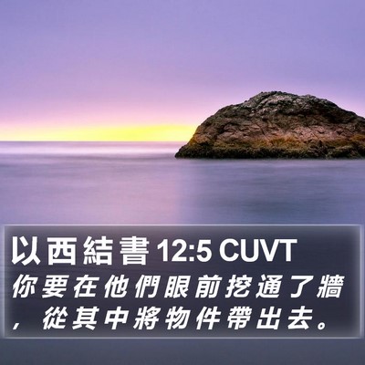 以 西 結 書 12:5 CUVT Bible Verse Image