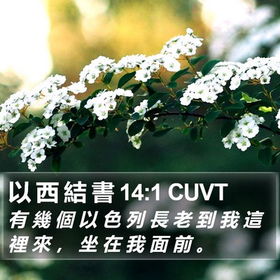 以 西 結 書 14:1 CUVT Bible Verse Image