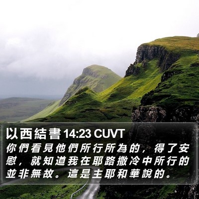 以 西 結 書 14:23 CUVT Bible Verse Image