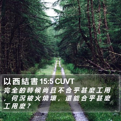 以 西 結 書 15:5 CUVT Bible Verse Image