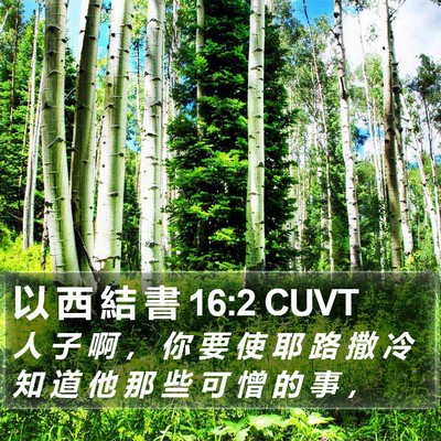 以 西 結 書 16:2 CUVT Bible Verse Image