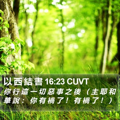 以 西 結 書 16:23 CUVT Bible Verse Image