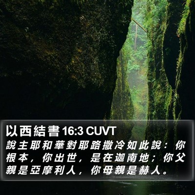 以 西 結 書 16:3 CUVT Bible Verse Image