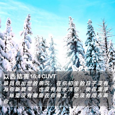 以 西 結 書 16:4 CUVT Bible Verse Image