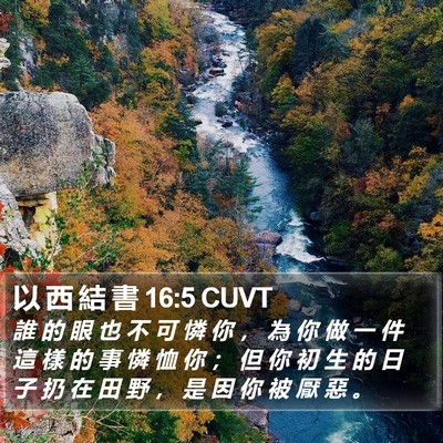 以 西 結 書 16:5 CUVT Bible Verse Image