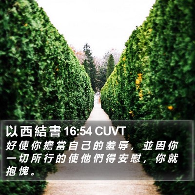 以 西 結 書 16:54 CUVT Bible Verse Image