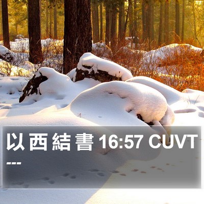 以 西 結 書 16:57 CUVT Bible Verse Image