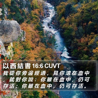 以 西 結 書 16:6 CUVT Bible Verse Image