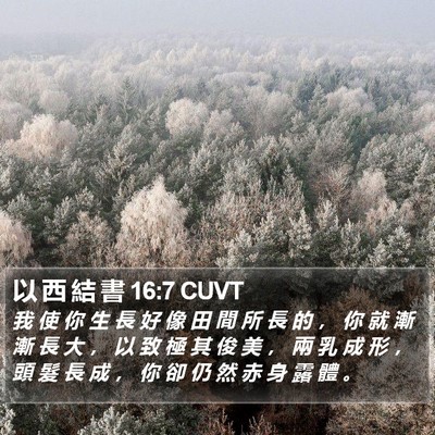 以 西 結 書 16:7 CUVT Bible Verse Image
