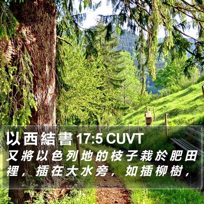 以 西 結 書 17:5 CUVT Bible Verse Image