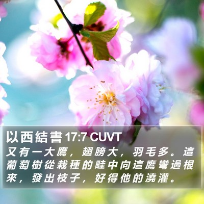 以 西 結 書 17:7 CUVT Bible Verse Image