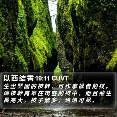 以 西 結 書 19:11 CUVT Bible Verse Image