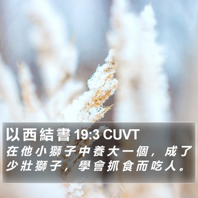 以 西 結 書 19:3 CUVT Bible Verse Image