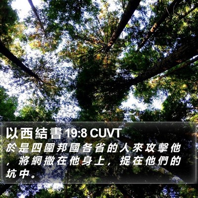 以 西 結 書 19:8 CUVT Bible Verse Image
