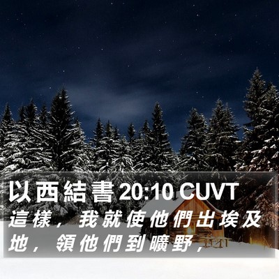 以 西 結 書 20:10 CUVT Bible Verse Image