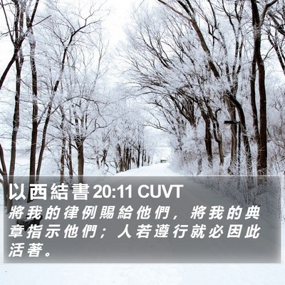 以 西 結 書 20:11 CUVT Bible Verse Image