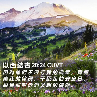 以 西 結 書 20:24 CUVT Bible Verse Image