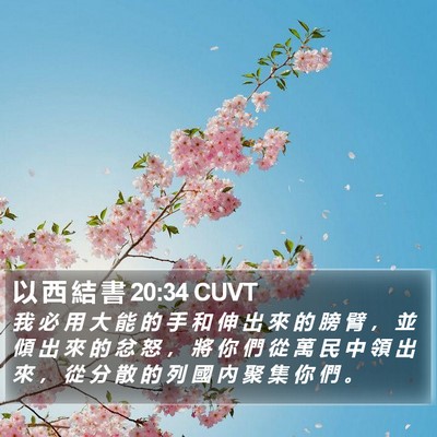 以 西 結 書 20:34 CUVT Bible Verse Image