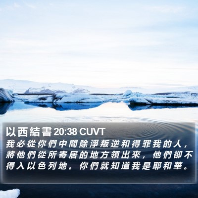 以 西 結 書 20:38 CUVT Bible Verse Image